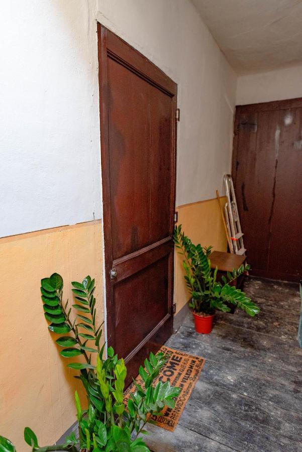 Nella Casa Del Pittore Turín